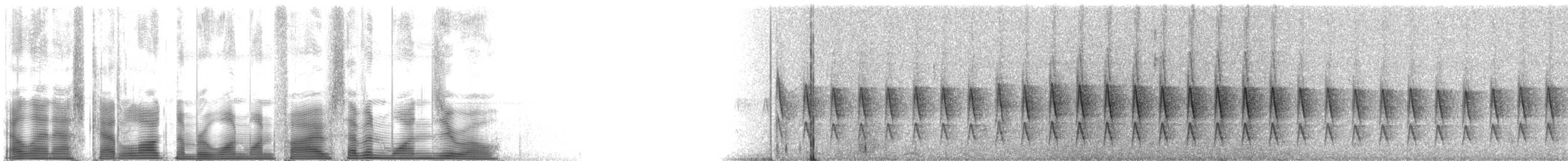 Mouse-colored Tapaculo - ML115710