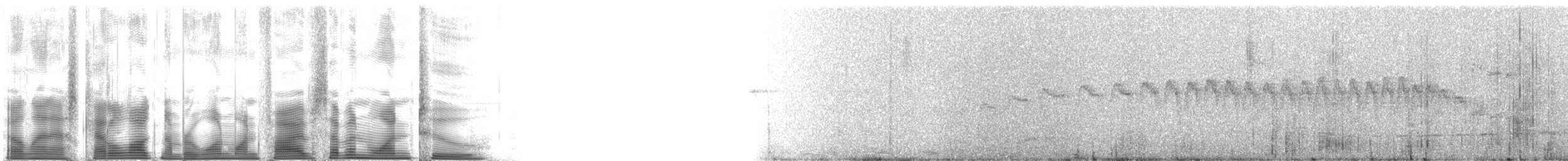 Rufous-tailed Antbird - ML115712