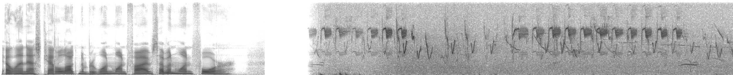 Great Pampa-Finch (Eastern) - ML115714