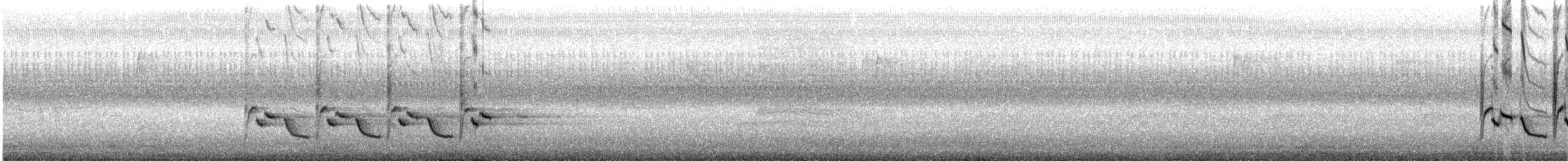 Поплітник каролінський - ML115739221