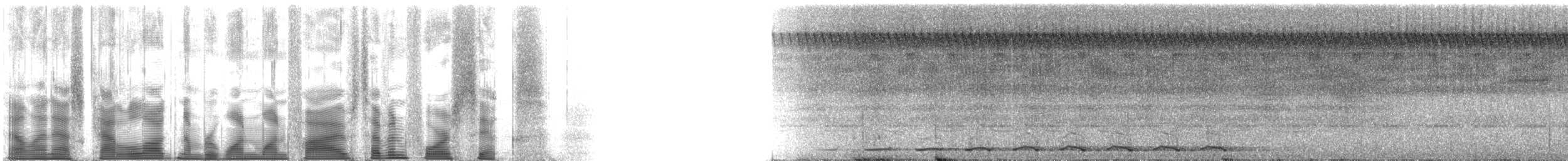 brunryggmaurpitta - ML115746