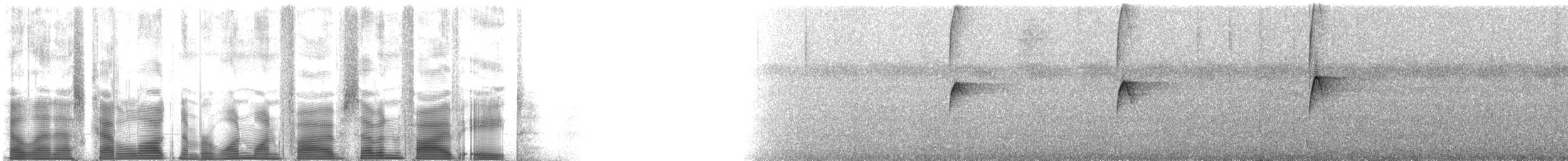 Whiskered Flycatcher (Whiskered) - ML115758