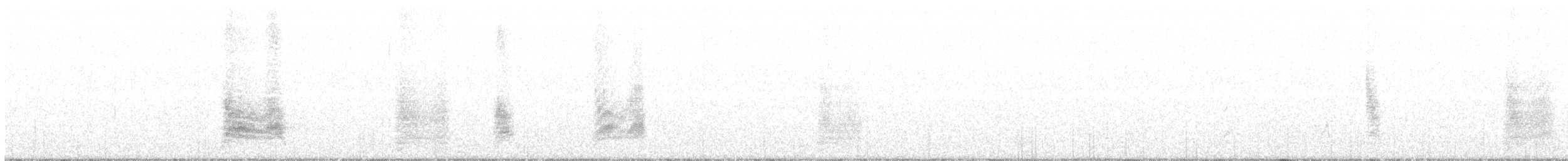 Traquet à tête blanche - ML115789161