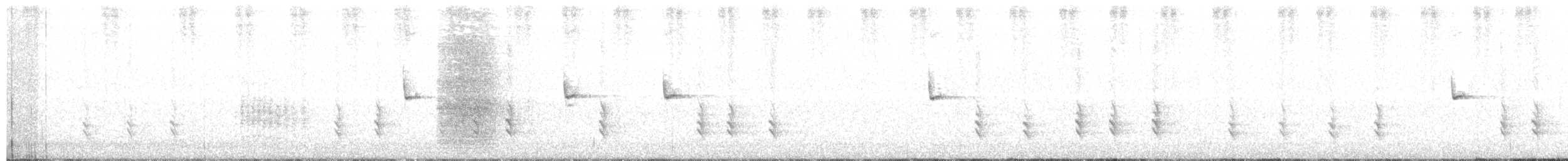 křivka obecná (ssp. guillemardi) - ML115805311