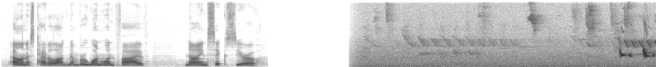 Пересмішник сивий [група gilvus] - ML115960