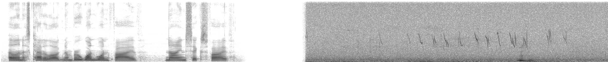 vlaštovka bahamská - ML115965