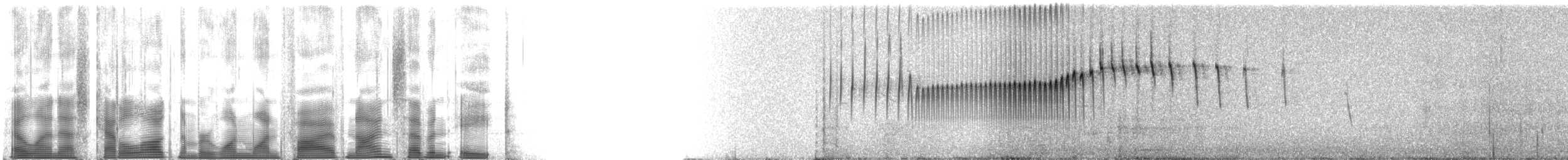 Schwarzschwanz-Uferwipper - ML115978