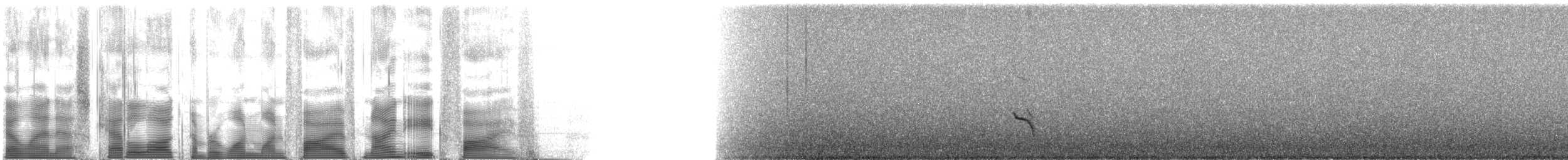 Chiguancodrossel (anthracinus) - ML115985