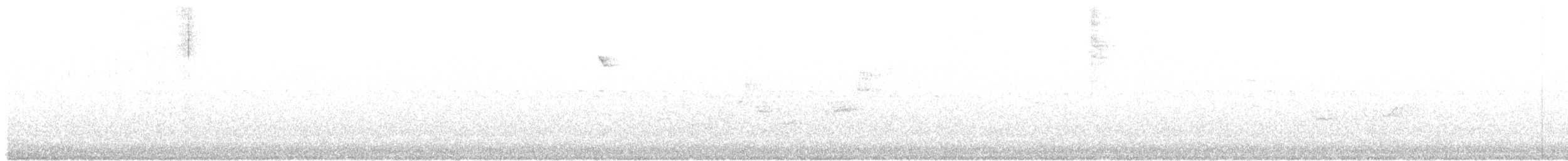 Warbling Vireo (Eastern) - ML115985321