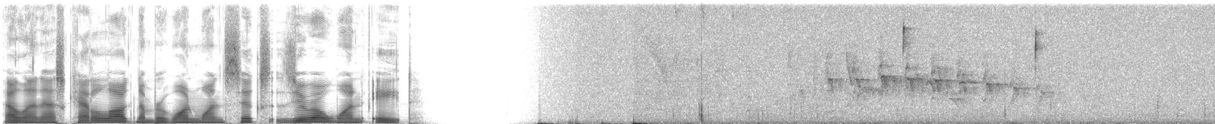 Тиранчик-довгохвіст білогорлий - ML116018