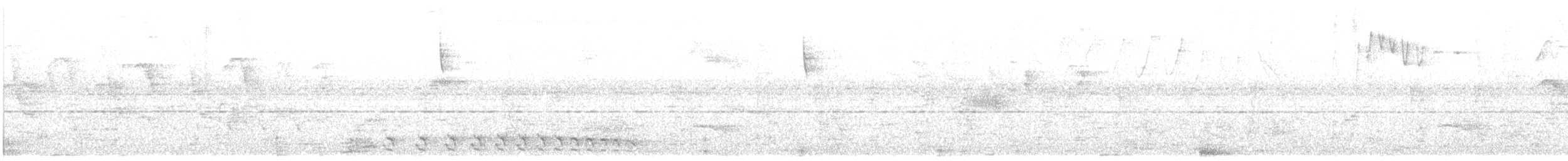 Bar-crested Antshrike - ML116019351