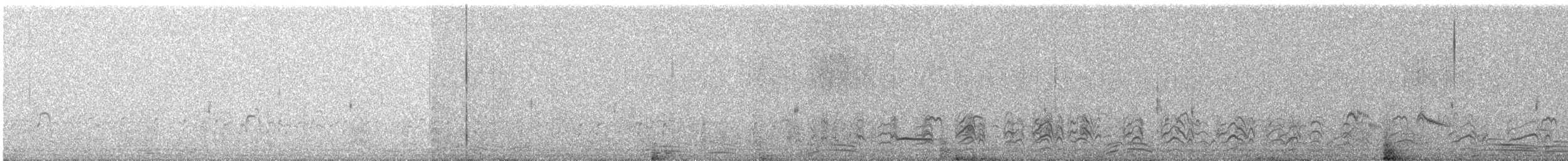Forster's Tern - ML116052231