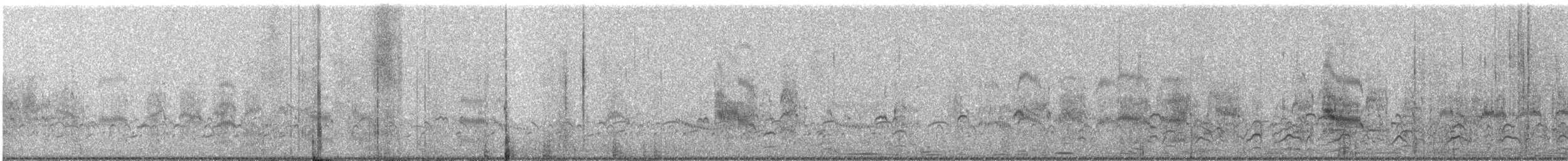 Forster's Tern - ML116052241
