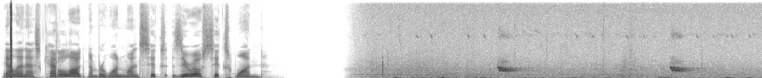 Strichelrücken-Ameisenfänger - ML116061