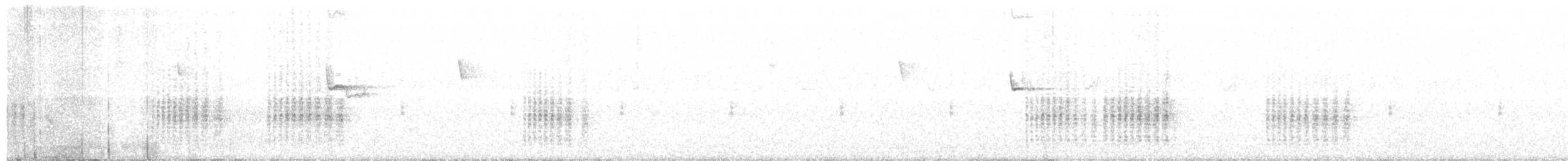 Синиця чорна (підвид cypriotes) - ML116065761