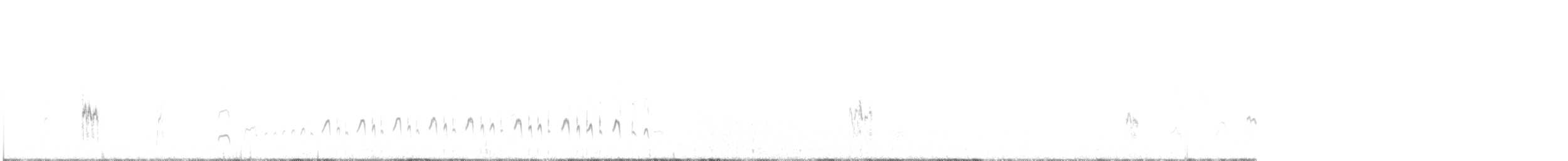Magellanic Plover - ML116076591