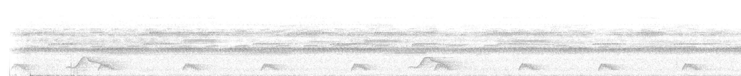 Yucatánnachtschwalbe - ML116122851