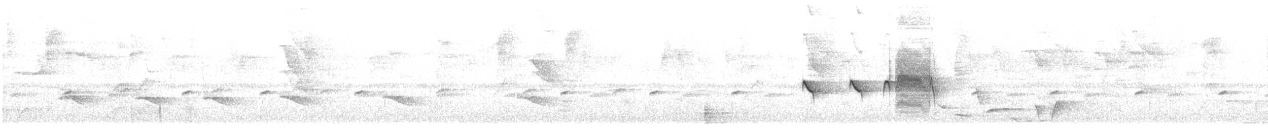 Strichelkopf-Ameisenfänger - ML116135551