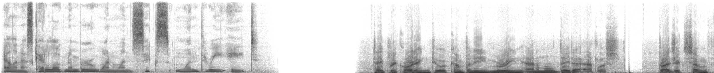 Bluestriped Grunt - ML116138