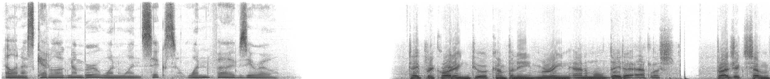 Common Bottlenose Dolphin - ML116150