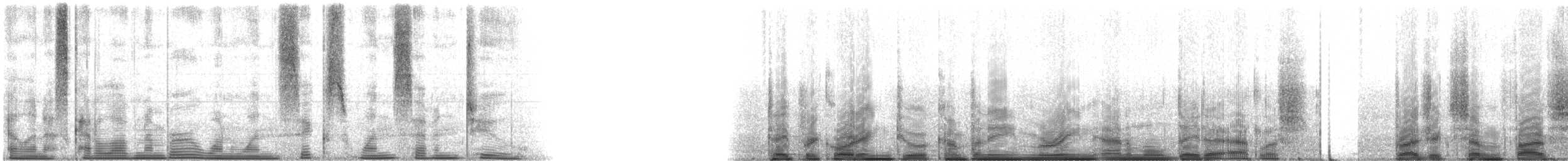 Hardhead Catfish - ML116172