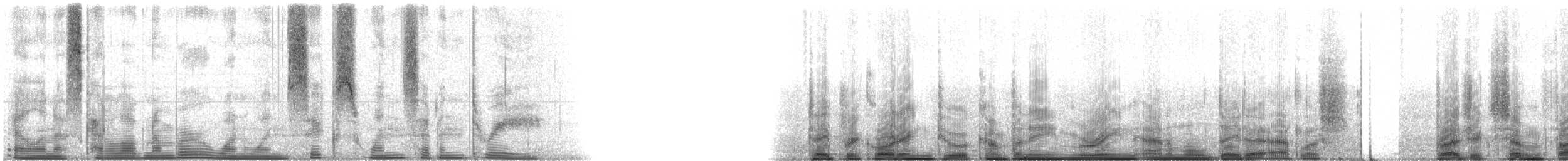 Hardhead Catfish - ML116173