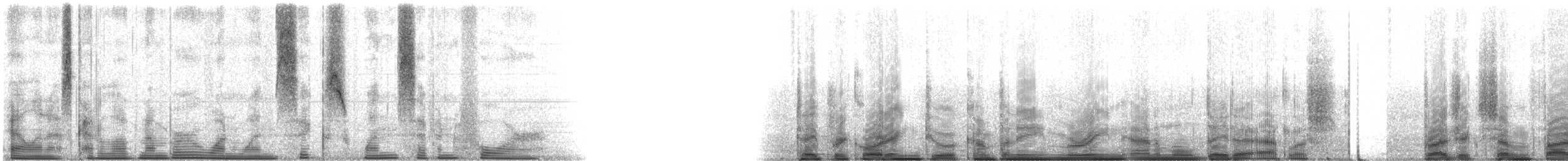 Hardhead Catfish - ML116174