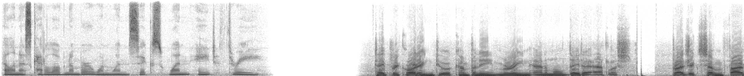 Gafftopsail Catfish - ML116183