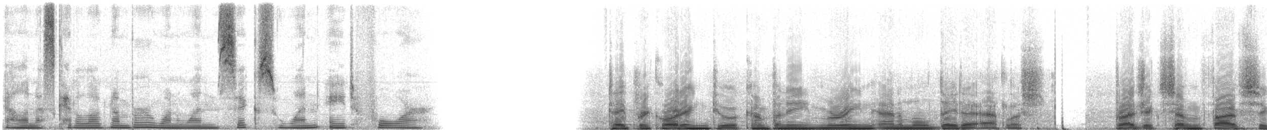 Oyster Toadfish - ML116184