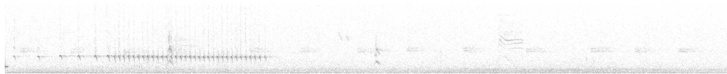 Wrentit - ML116184571