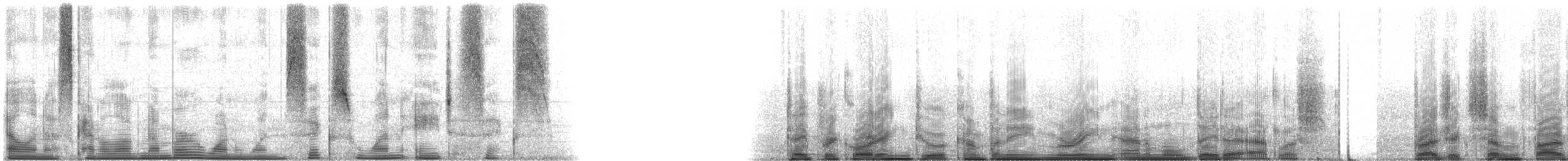 Oyster Toadfish - ML116186