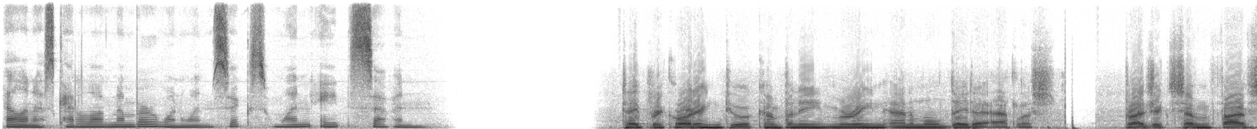 Oyster Toadfish - ML116187