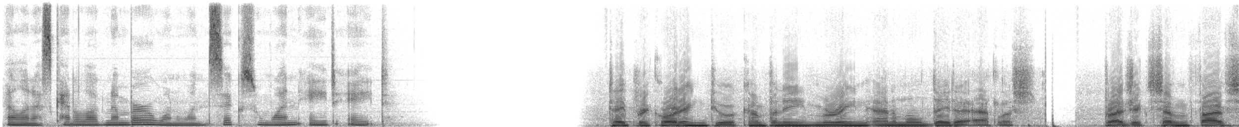 Gulf Toadfish - ML116188