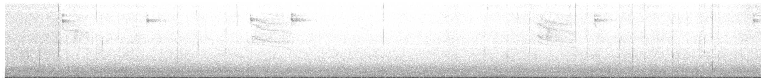svarthetteparula - ML116190601