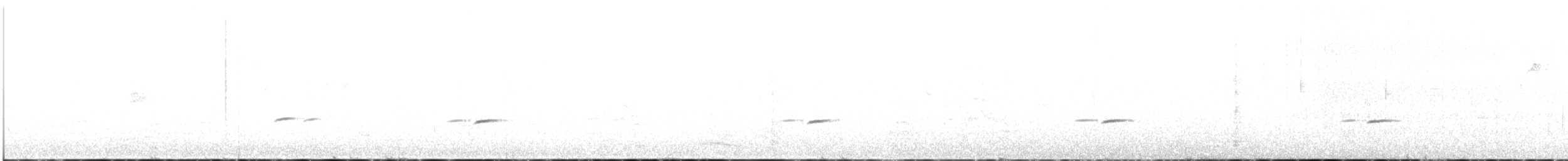 Pardalote pointillé (punctatus) - ML116217571