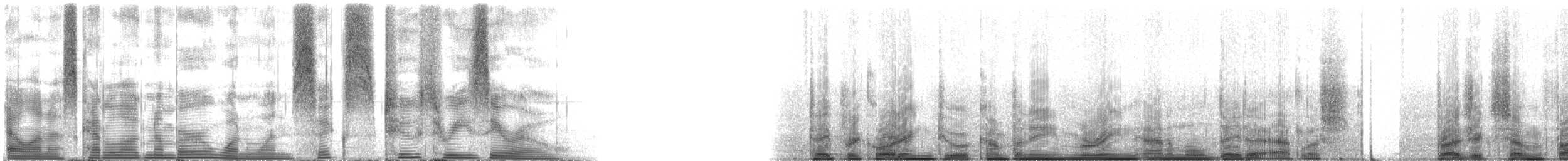 Common Bottlenose Dolphin - ML116230