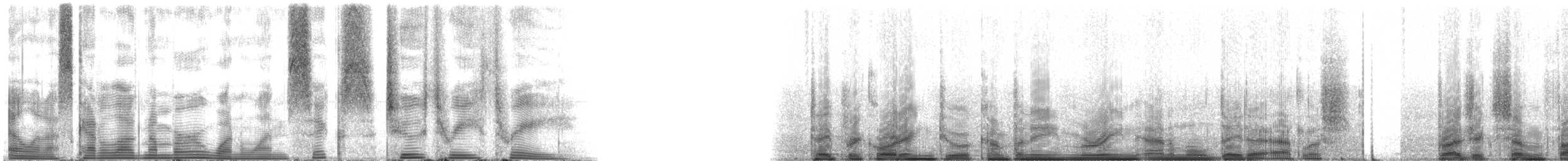 Common Bottlenose Dolphin - ML116233