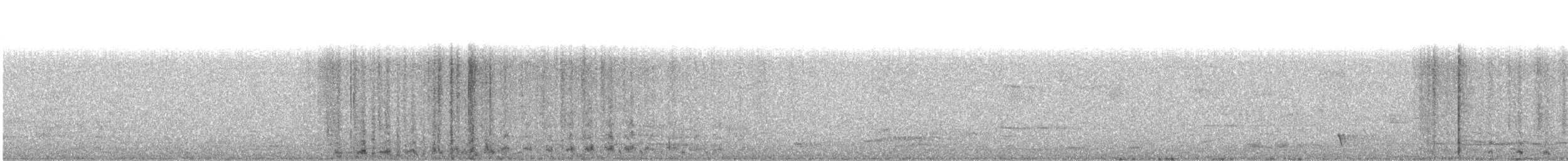 holub maorský - ML116324961