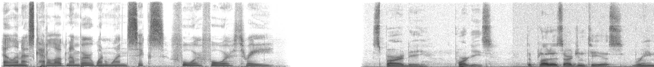 Silver Pinfish - ML116443