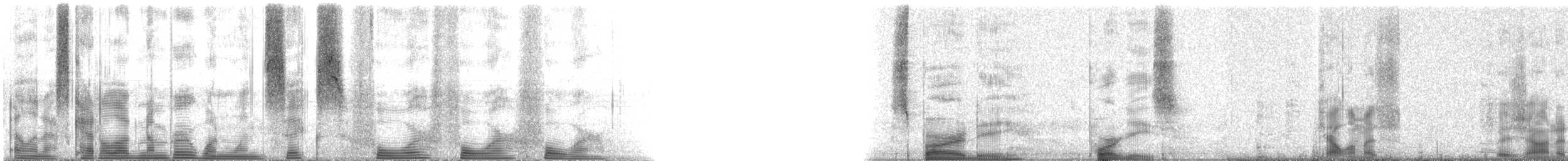 大西洋蘆鯛 - ML116444