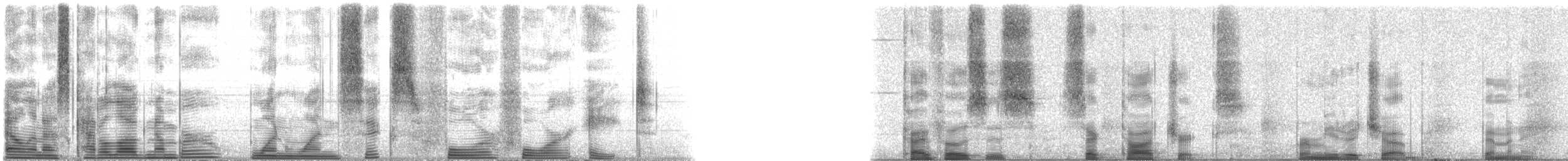 Bermuda Chub - ML116448