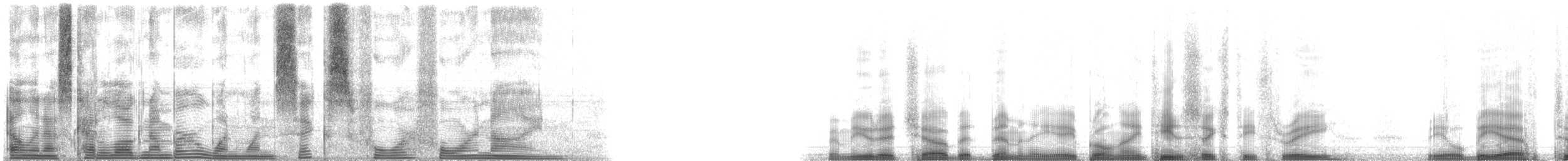 Bermuda Chub - ML116449