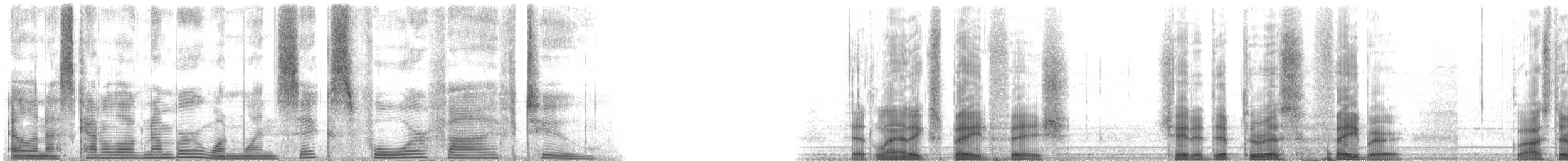 Atlantic Spadefish - ML116452