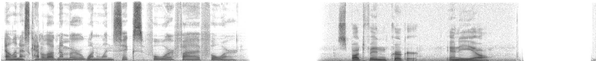 Spotfin Croaker - ML116454