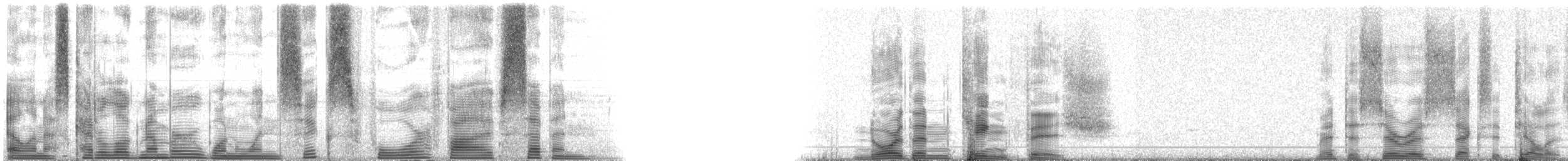 Northern Kingfish - ML116457