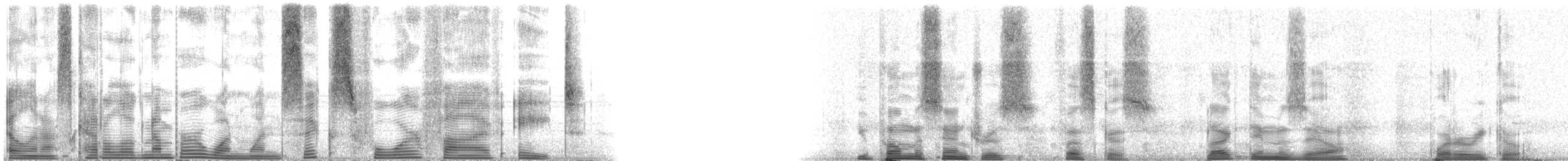 Dusky Damselfish - ML116458