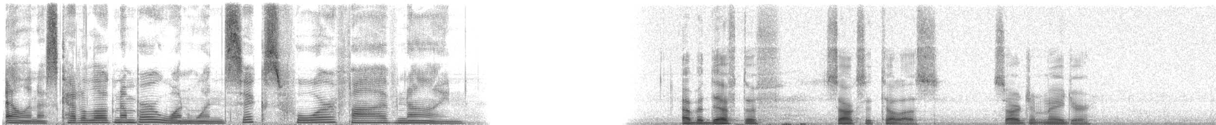 Atlantic Sergeant Major - ML116459