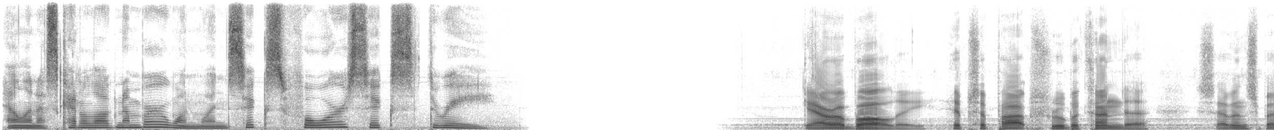 高歡雀鯛 - ML116463