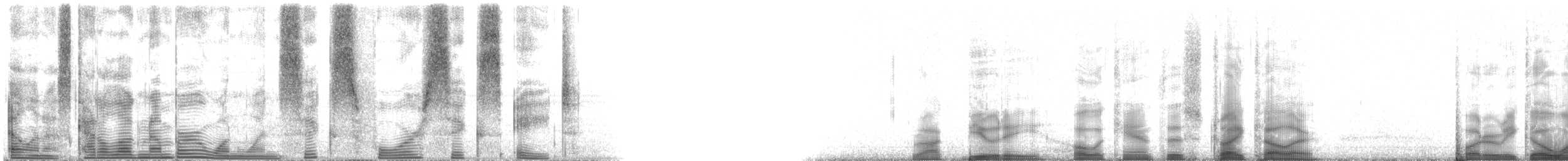 Rock Beauty - ML116468