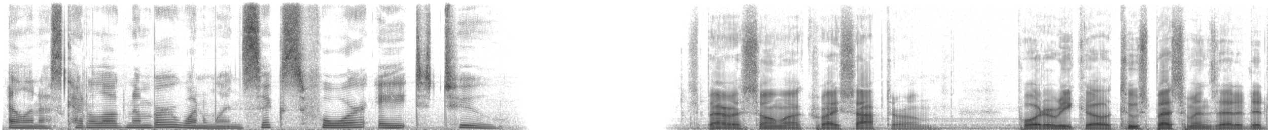 Redtail Parrotfish - ML116482